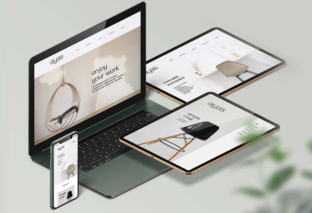 Desarrollo profesional de páginas web en Chile